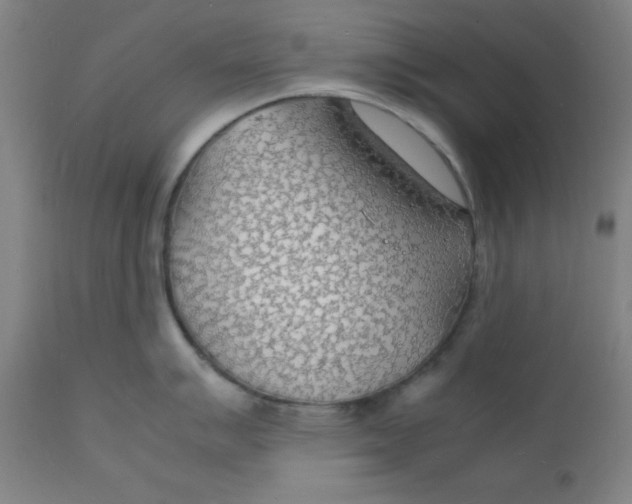 X0000112151007200909041059