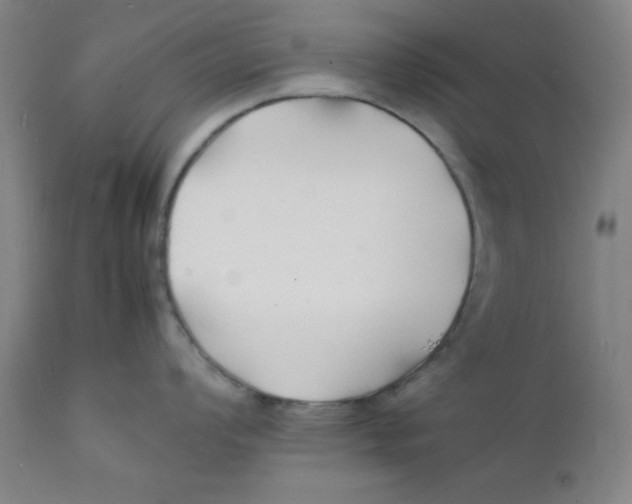 X0000112151008200909041059