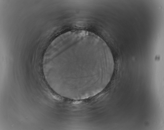 X0000112151009200909041058