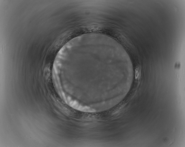 X0000112151011200909041058