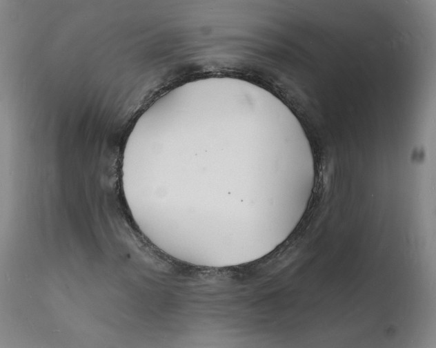 X0000112151012200909041058