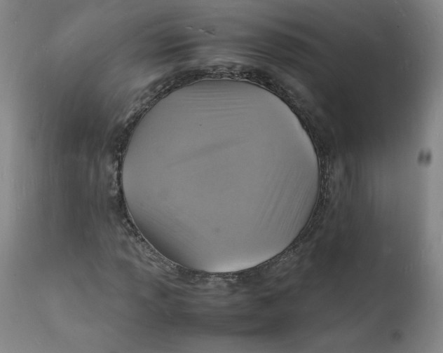 X0000112151013200909041058