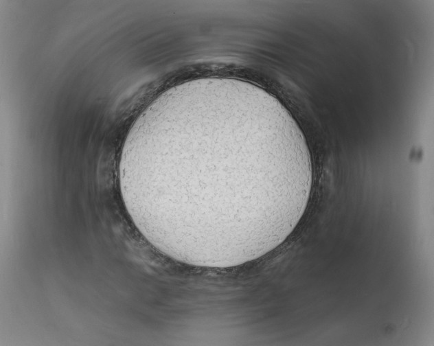 X0000112151014200909041058