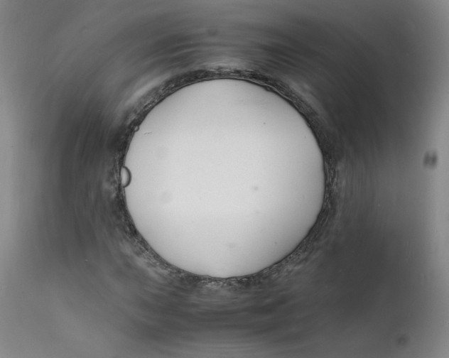 X0000112151015200909041058