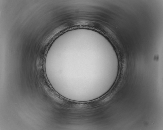 X0000112151017200909041058