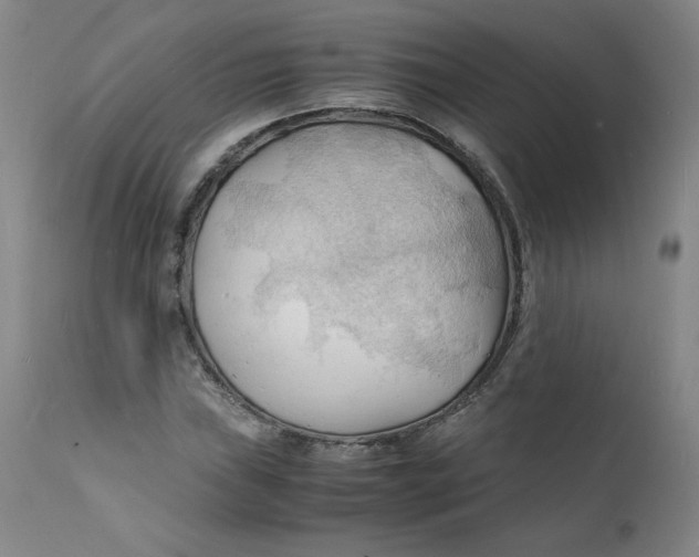 X0000112151019200909041058