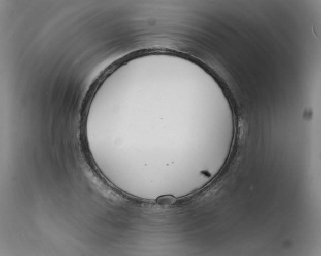 X0000112151020200909041058