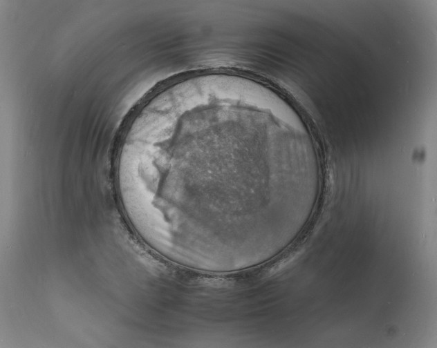 X0000112151023200909041058