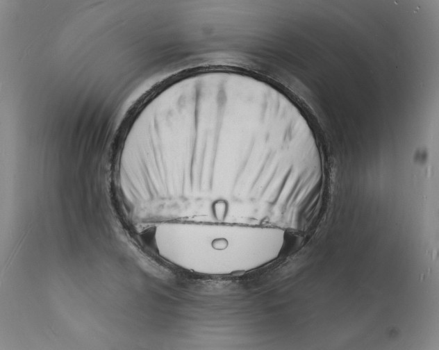 X0000112151024200909041058