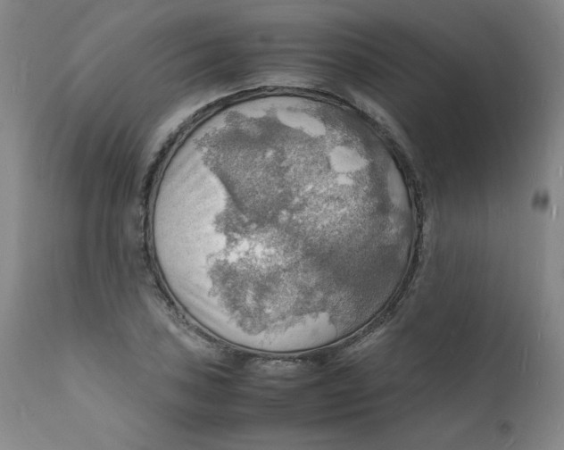 X0000112151027200909041058