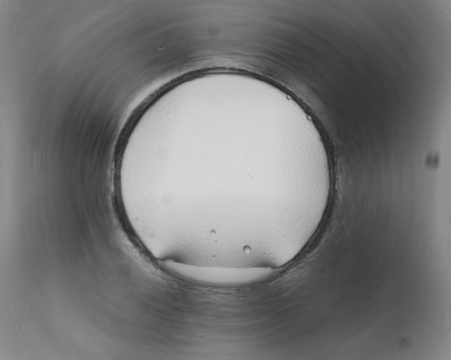 X0000112151028200909041058