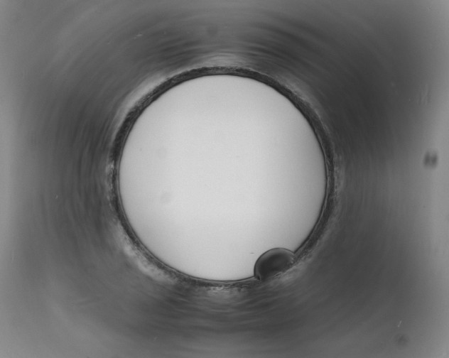 X0000112151029200909041058