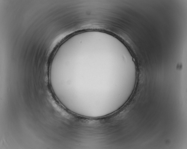 X0000112151030200909041058