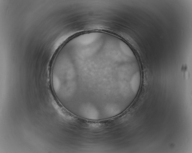 X0000112151031200909041058