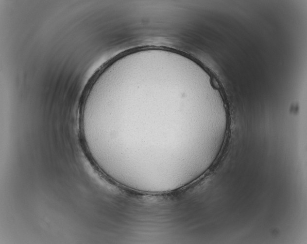 X0000112151032200909041058