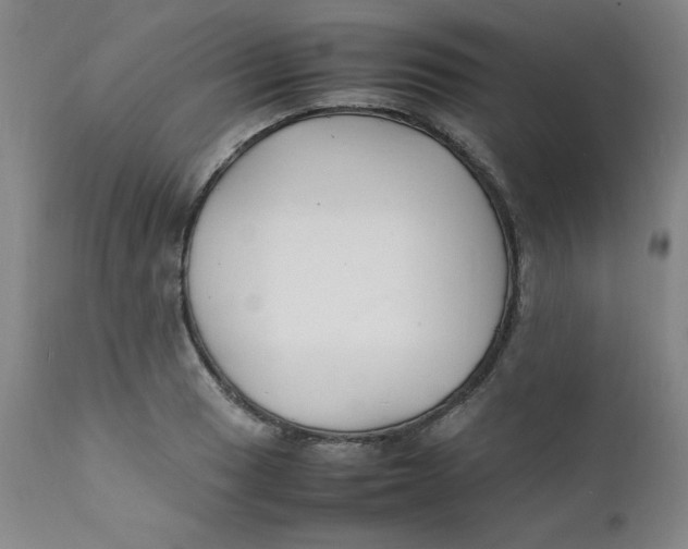 X0000112151033200909041058