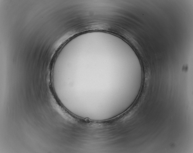 X0000112151034200909041058