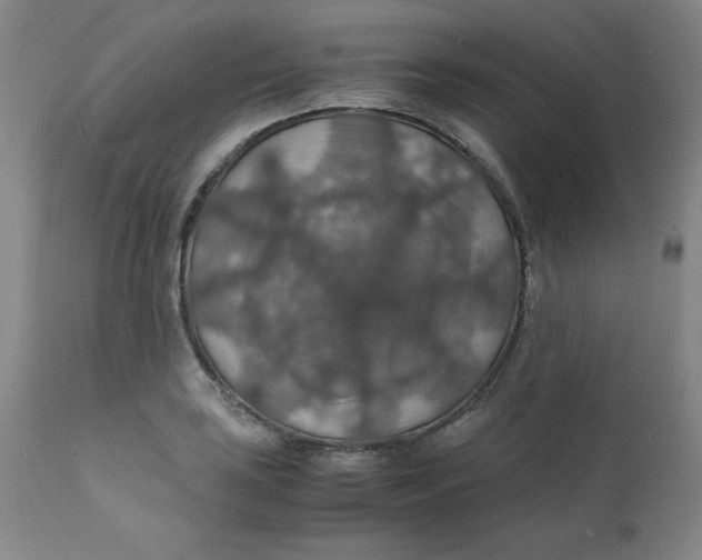 X0000112151035200909041058