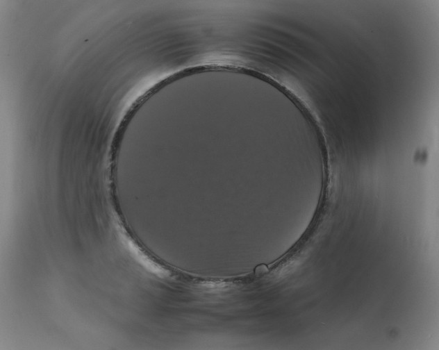 X0000112151037200909041058