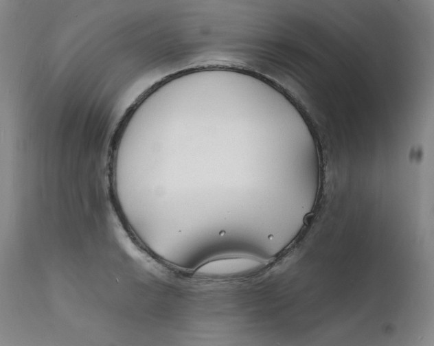 X0000112151038200909041058