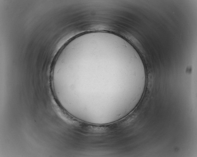 X0000112151039200909041058