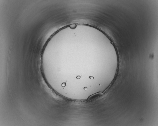 X0000112151040200909041058