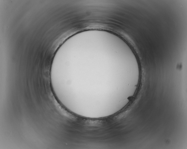 X0000112151041200909041058