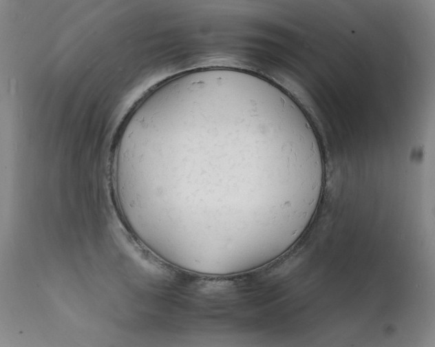 X0000112151043200909041058