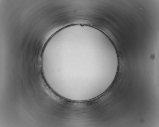 X0000112151044200909041059