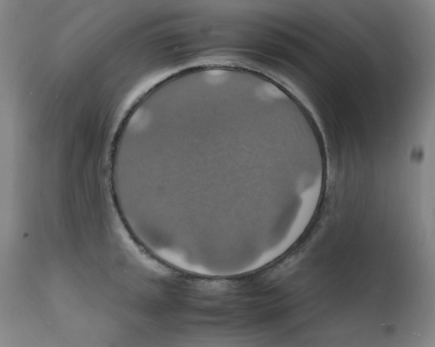 X0000112151045200909041059