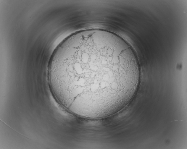 X0000112151047200909041059