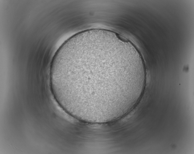 X0000112151048200909041059