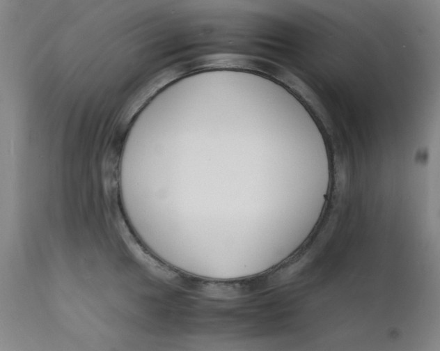 X0000112151049200909041059