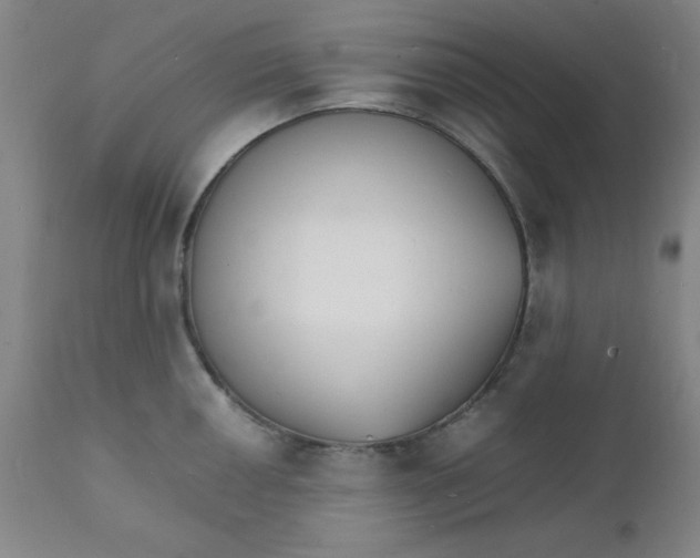 X0000112151050200909041059