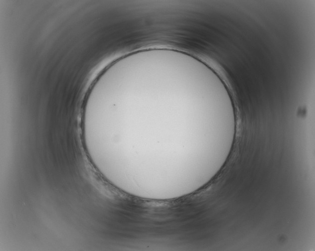 X0000112151051200909041059