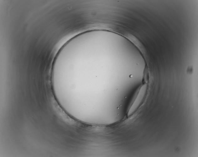 X0000112151052200909041059