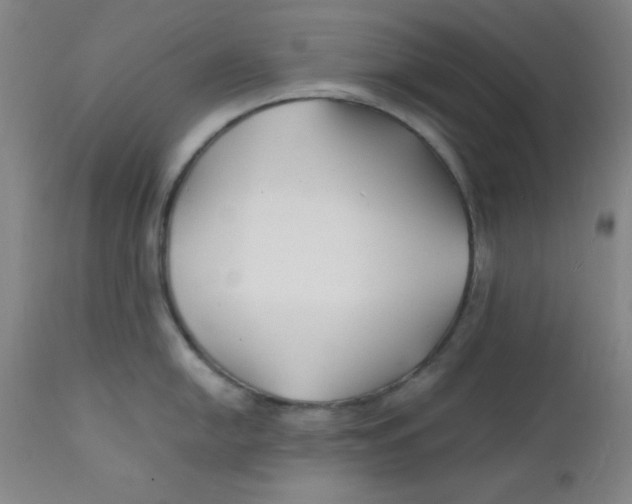 X0000112151054200909041059