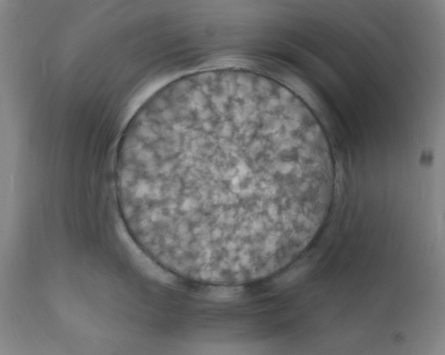 X0000112151055200909041059