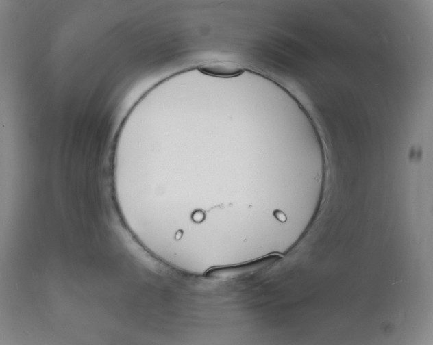 X0000112151056200909041059