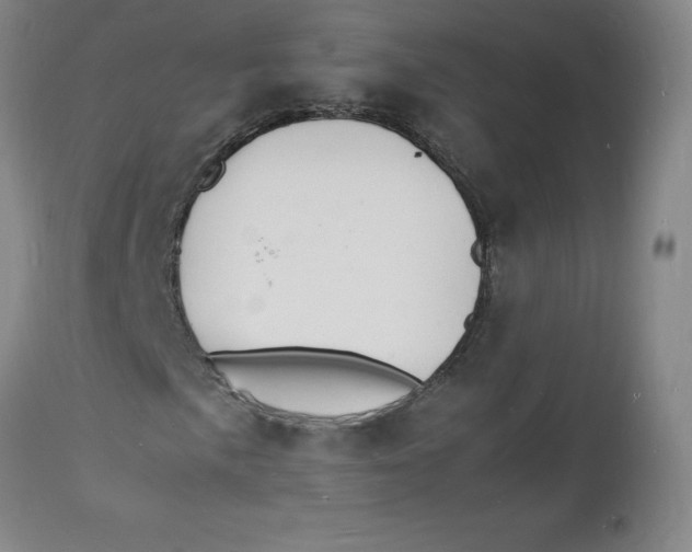 X0000112151057200909041058