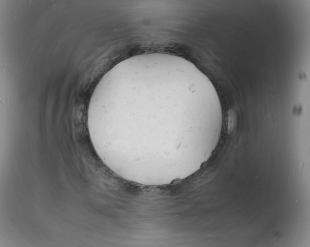 X0000112151059200909041058