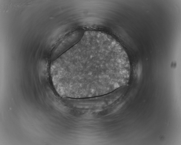 X0000112151060200909041058