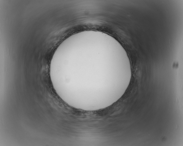 X0000112151061200909041058