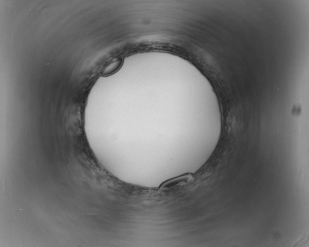 X0000112151062200909041058