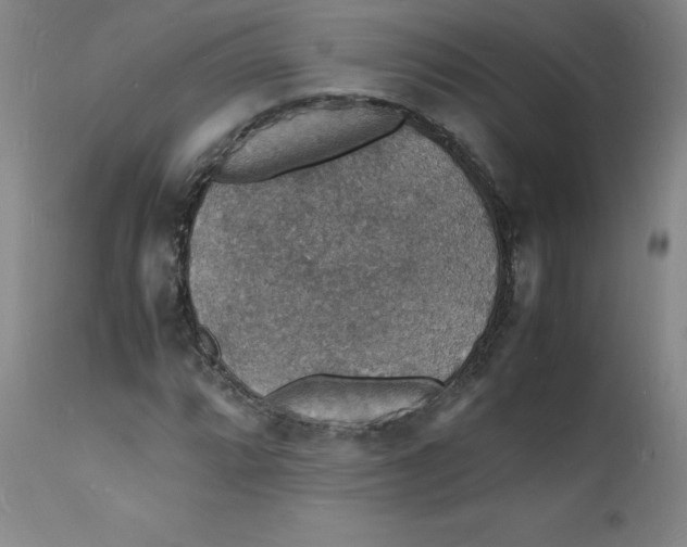 X0000112151064200909041058