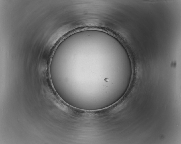 X0000112151065200909041058