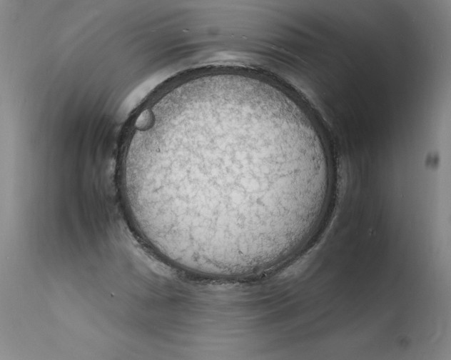 X0000112151066200909041058