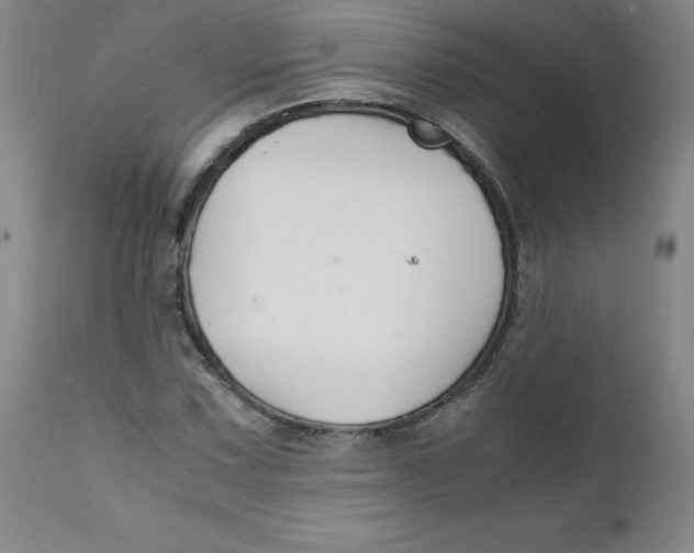 X0000112151067200909041058