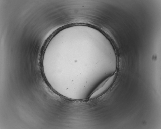 X0000112151068200909041058