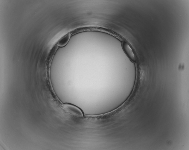 X0000112151069200909041058